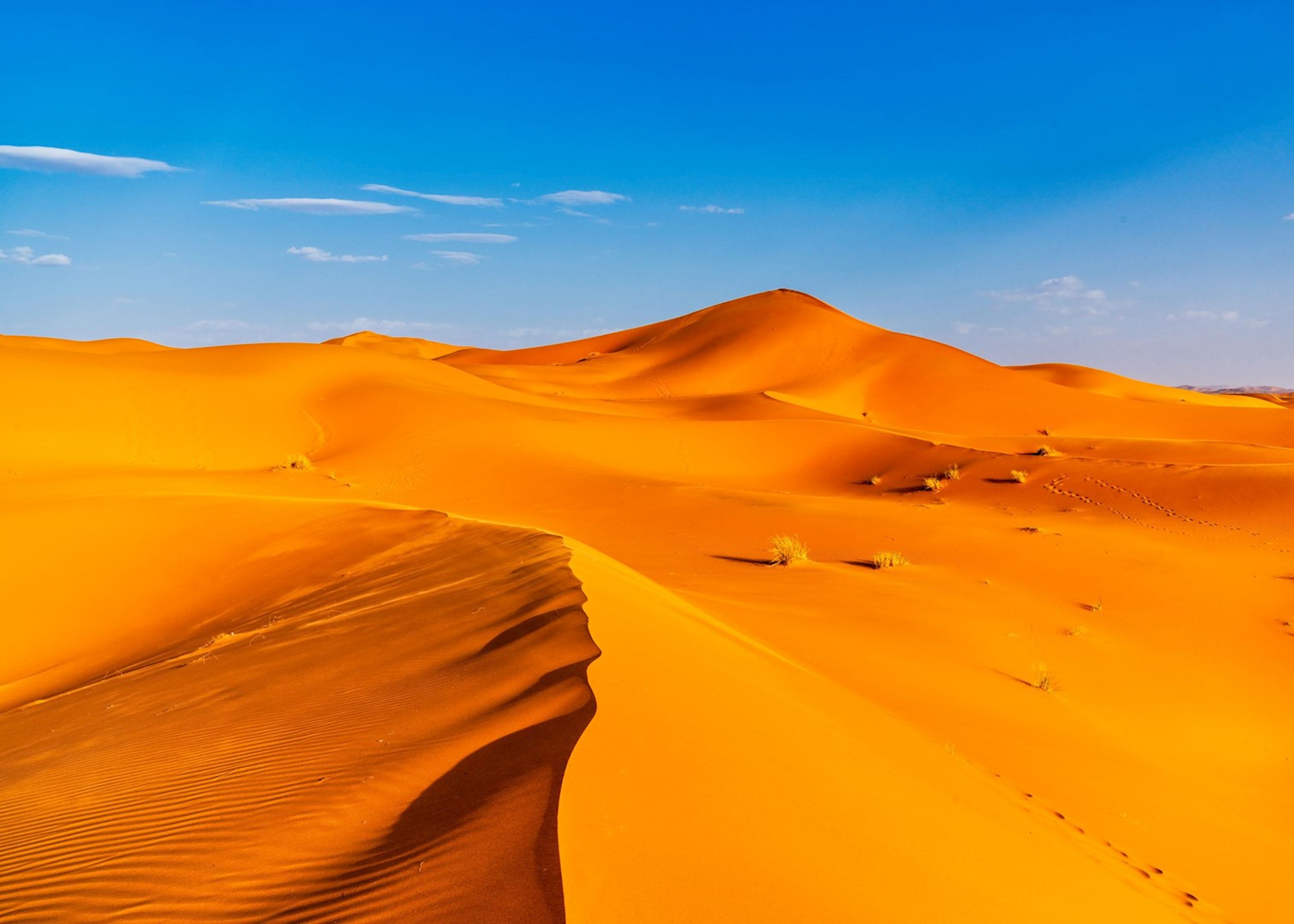 Erg Chebbi Tours & Tickets